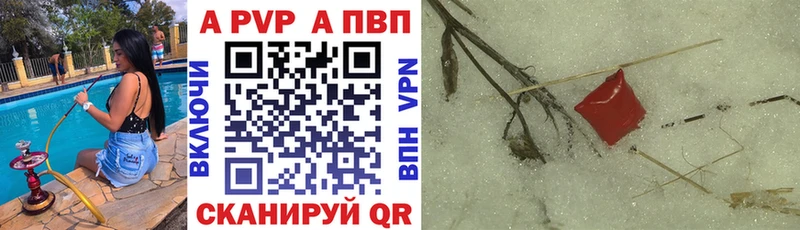 Альфа ПВП СК КРИС  мориарти состав  Белгород 