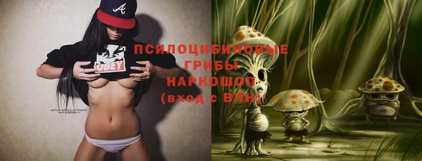 шишки Лагань