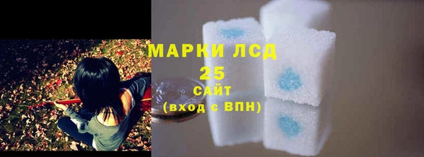 шишки Лагань