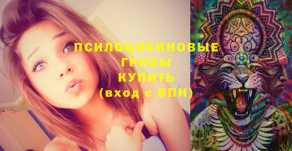 шишки Лагань
