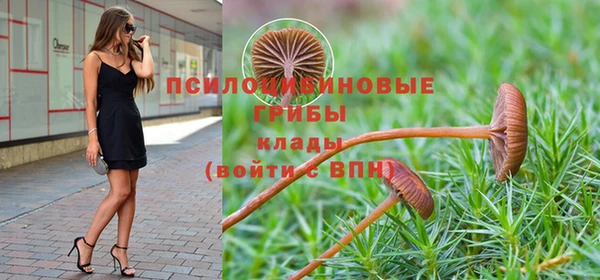 кокаин Ладушкин