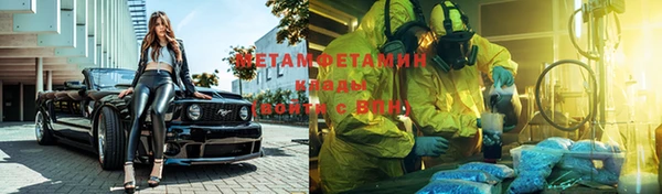 шишки Лагань