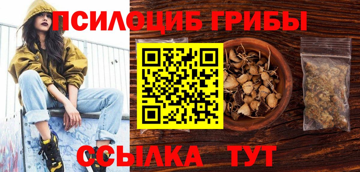 Галлюциногенные грибы Magic Shrooms  Белгород 