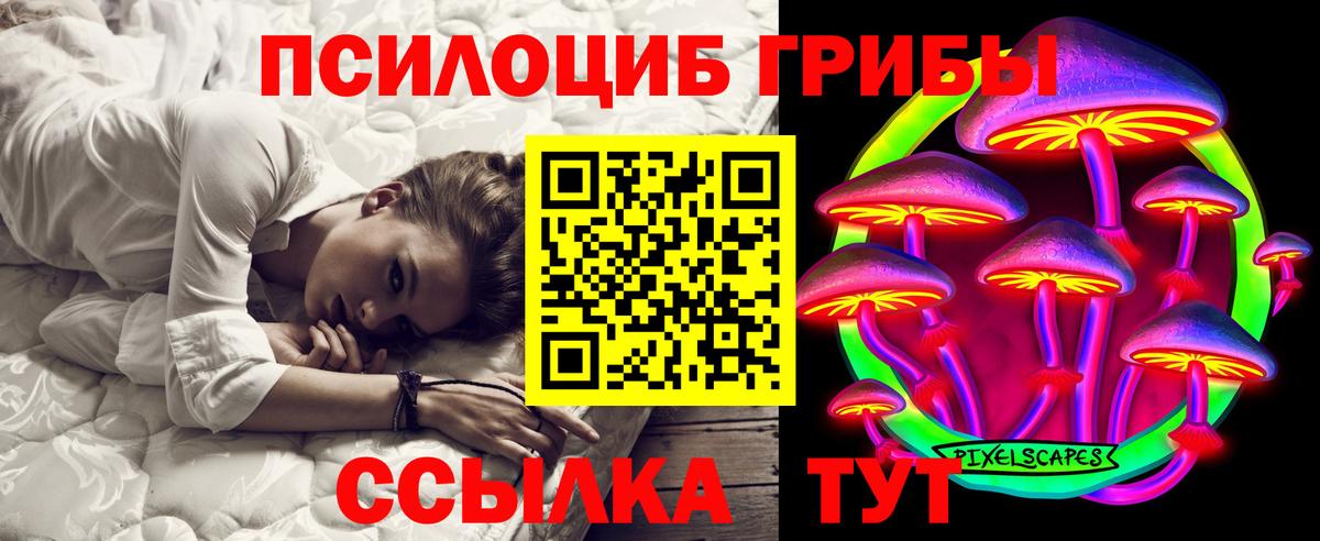 Псилоцибиновые грибы GOLDEN TEACHER Белгород