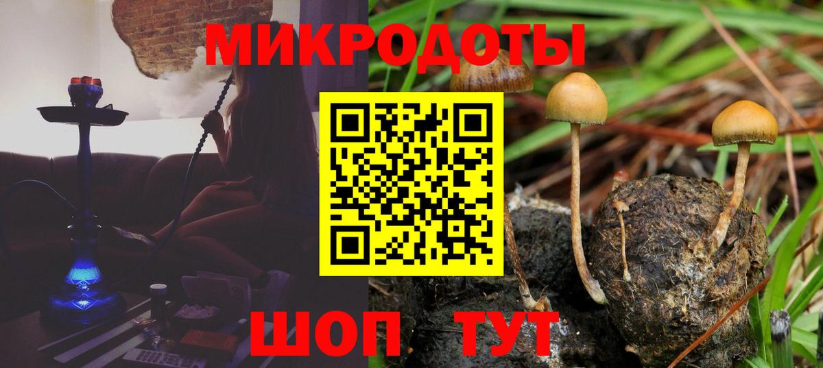 Псилоцибиновые грибы GOLDEN TEACHER Белгород