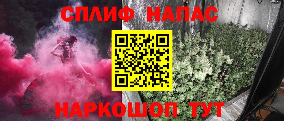 Конопля планчик  Марихуана конопля  Конопля Amnesia  Белгород  Вход с VPN 